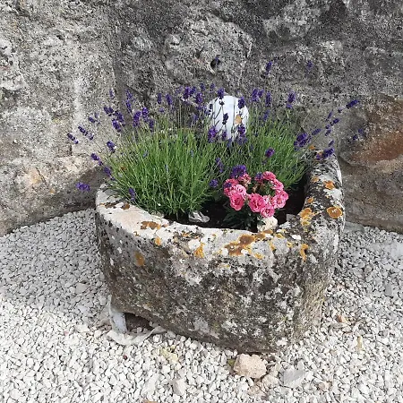 V&a House Semesterbostad *